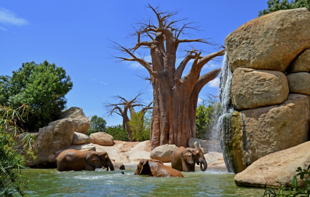 El Bioparc: Una Aventura en África