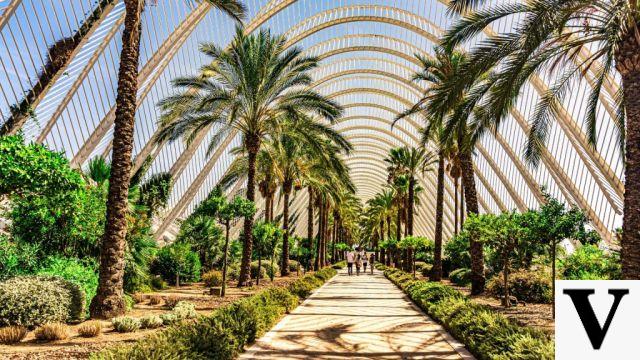 Los Monumentos Imprescindibles de Valencia que No Puedes Perderte