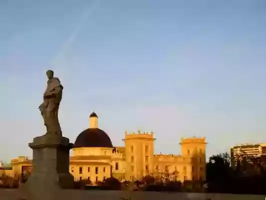 Museos de Valencia: Un Viaje por la Historia y el Arte