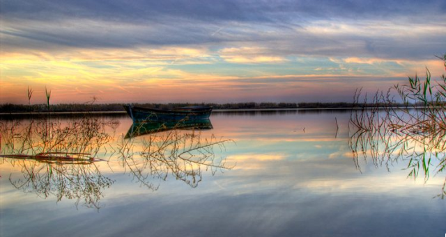 La Albufera de Valencia: Naturaleza y Tranquilidad