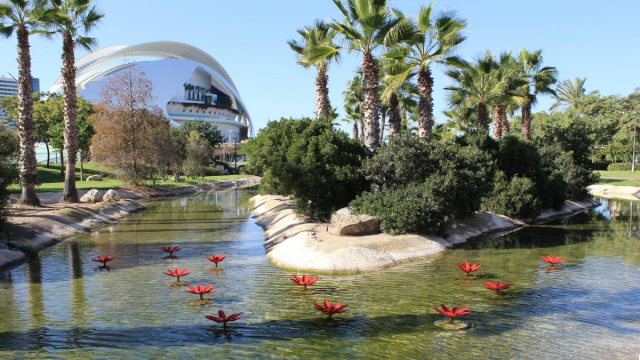 El Jardín del Turia: Naturaleza en el Corazón de la Ciudad